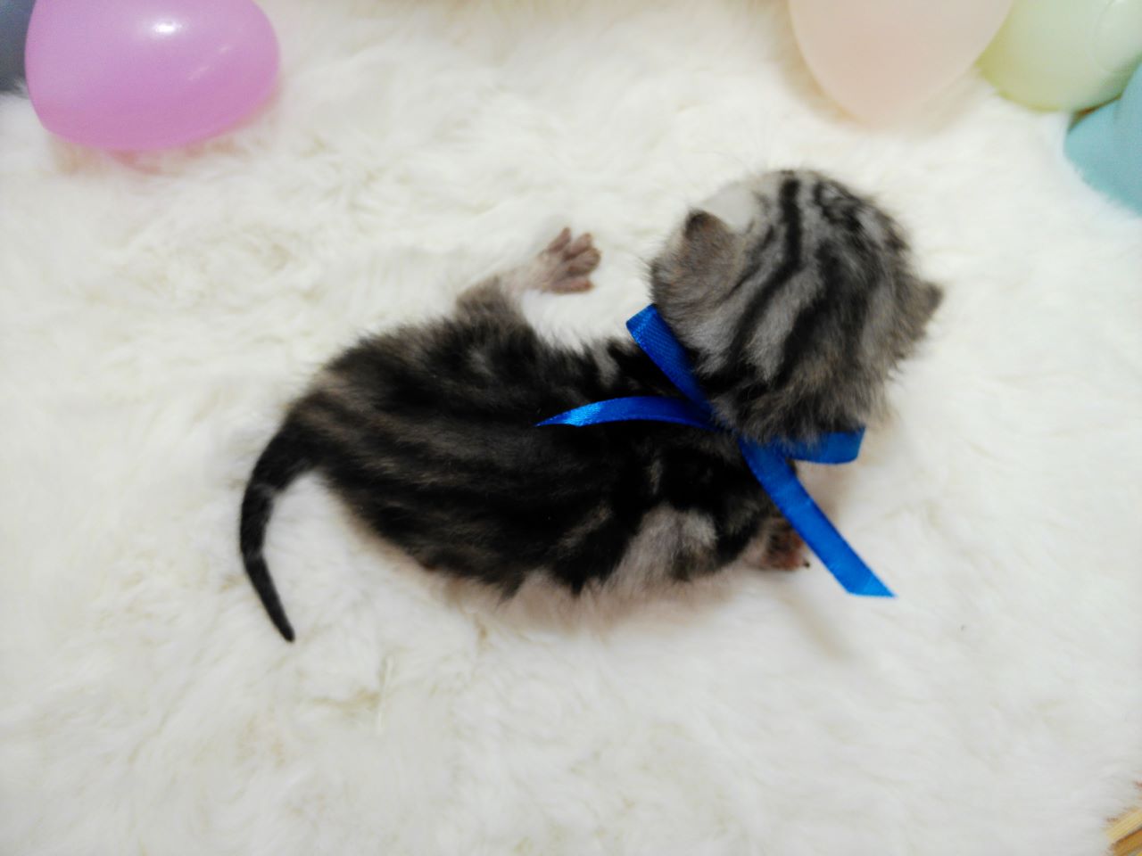 赤ちゃん写真1-3