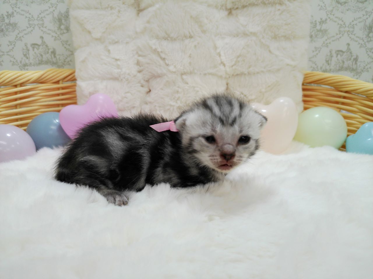 赤ちゃん写真1-2