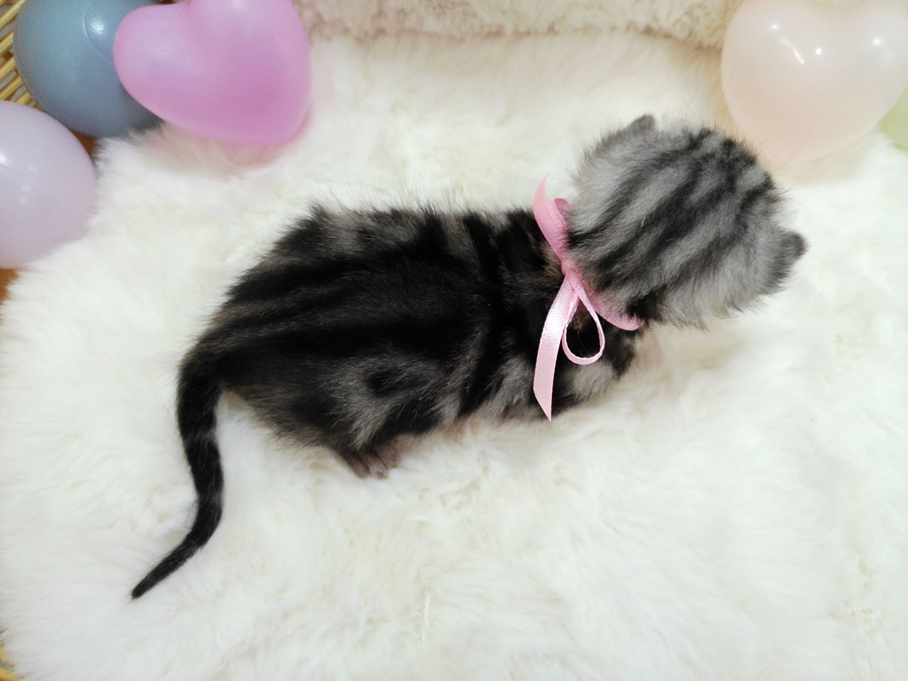 赤ちゃん写真1-3