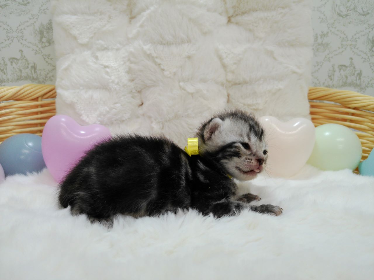 赤ちゃん写真1-2