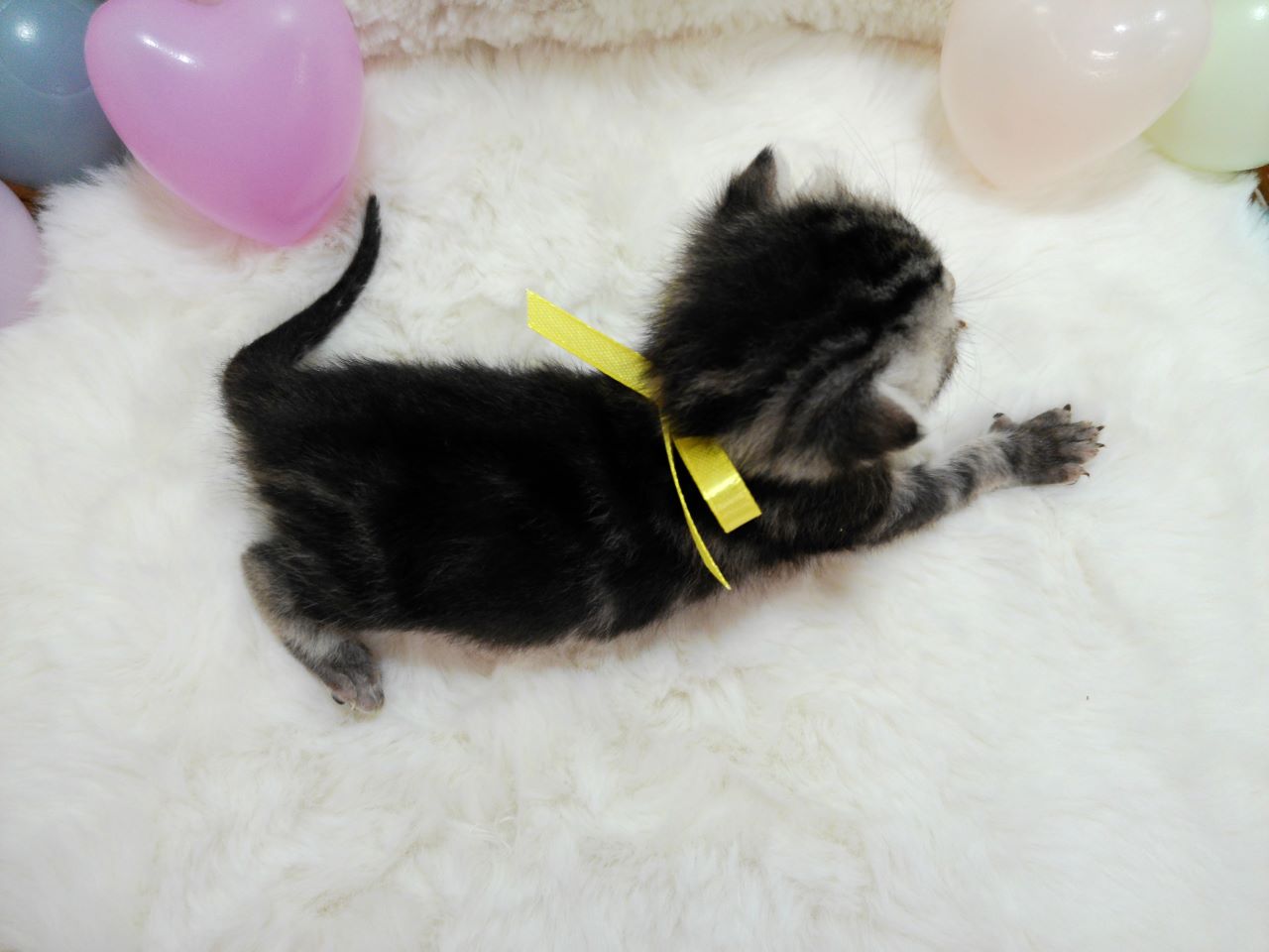 赤ちゃん写真1-3