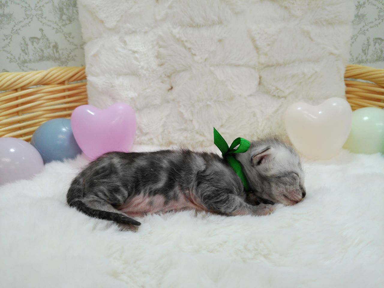 赤ちゃん写真1-2