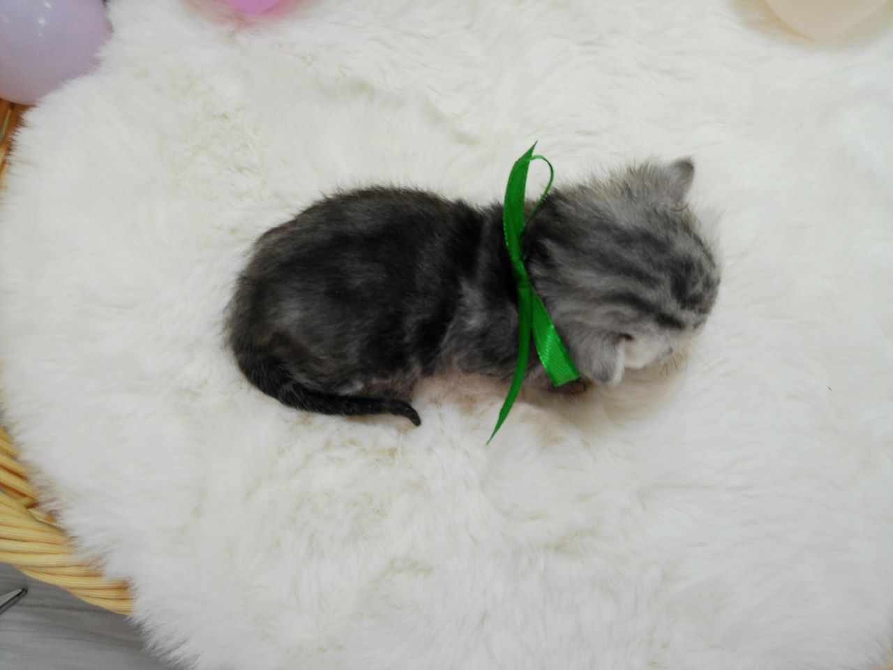 赤ちゃん写真1-3