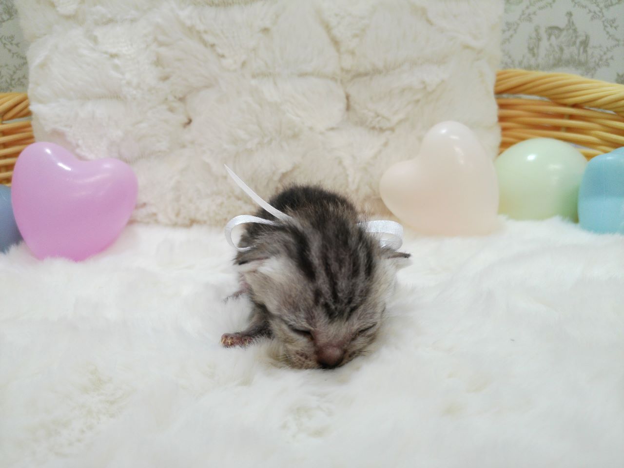 赤ちゃん写真1-1