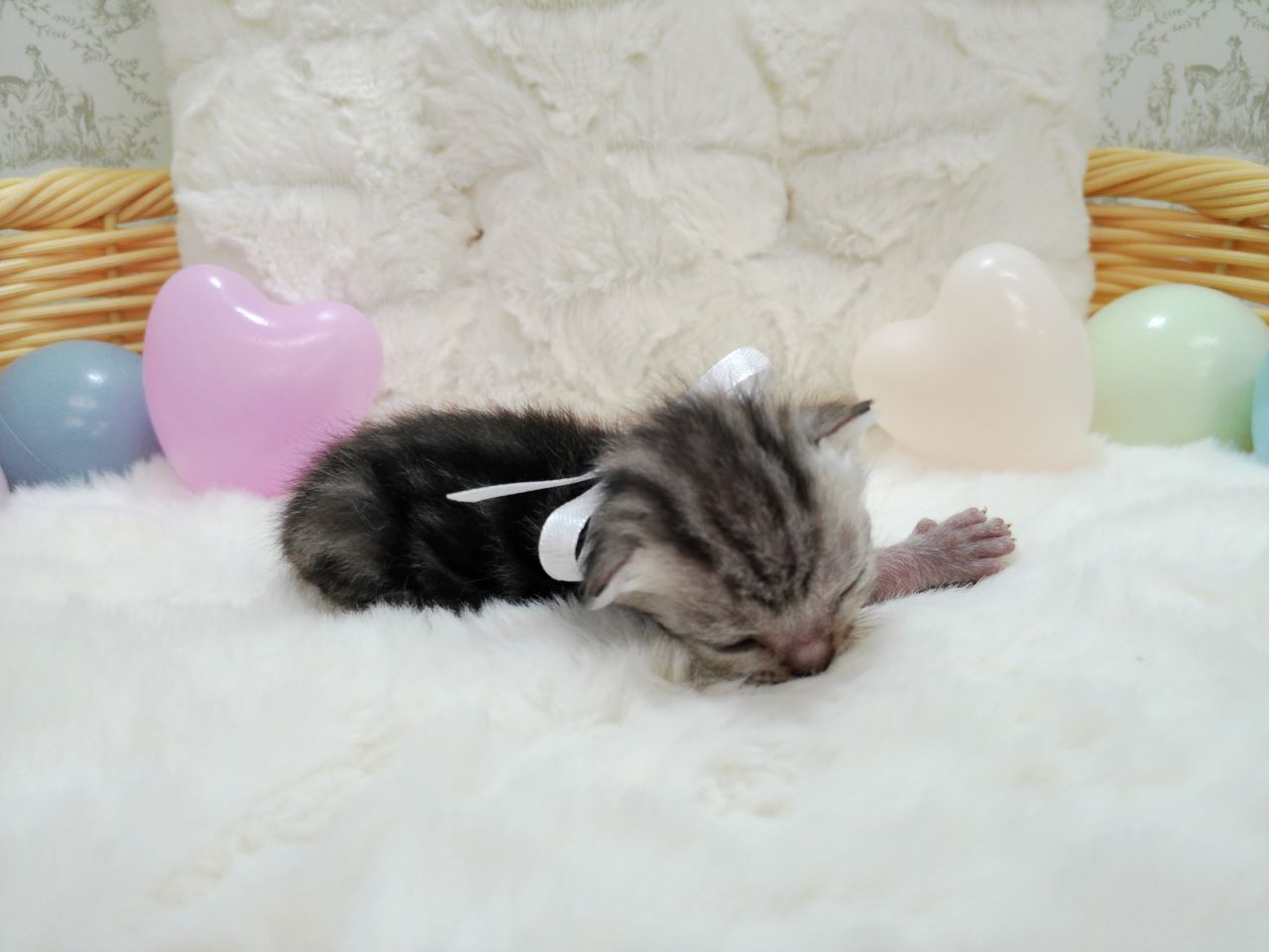 赤ちゃん写真1-2
