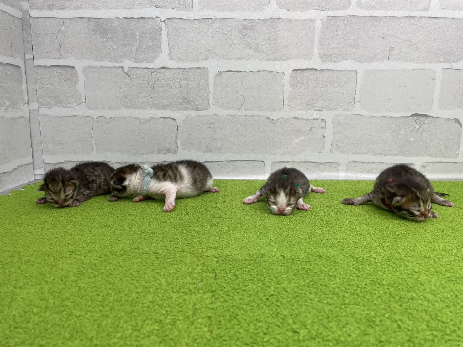 赤ちゃん写真1-3