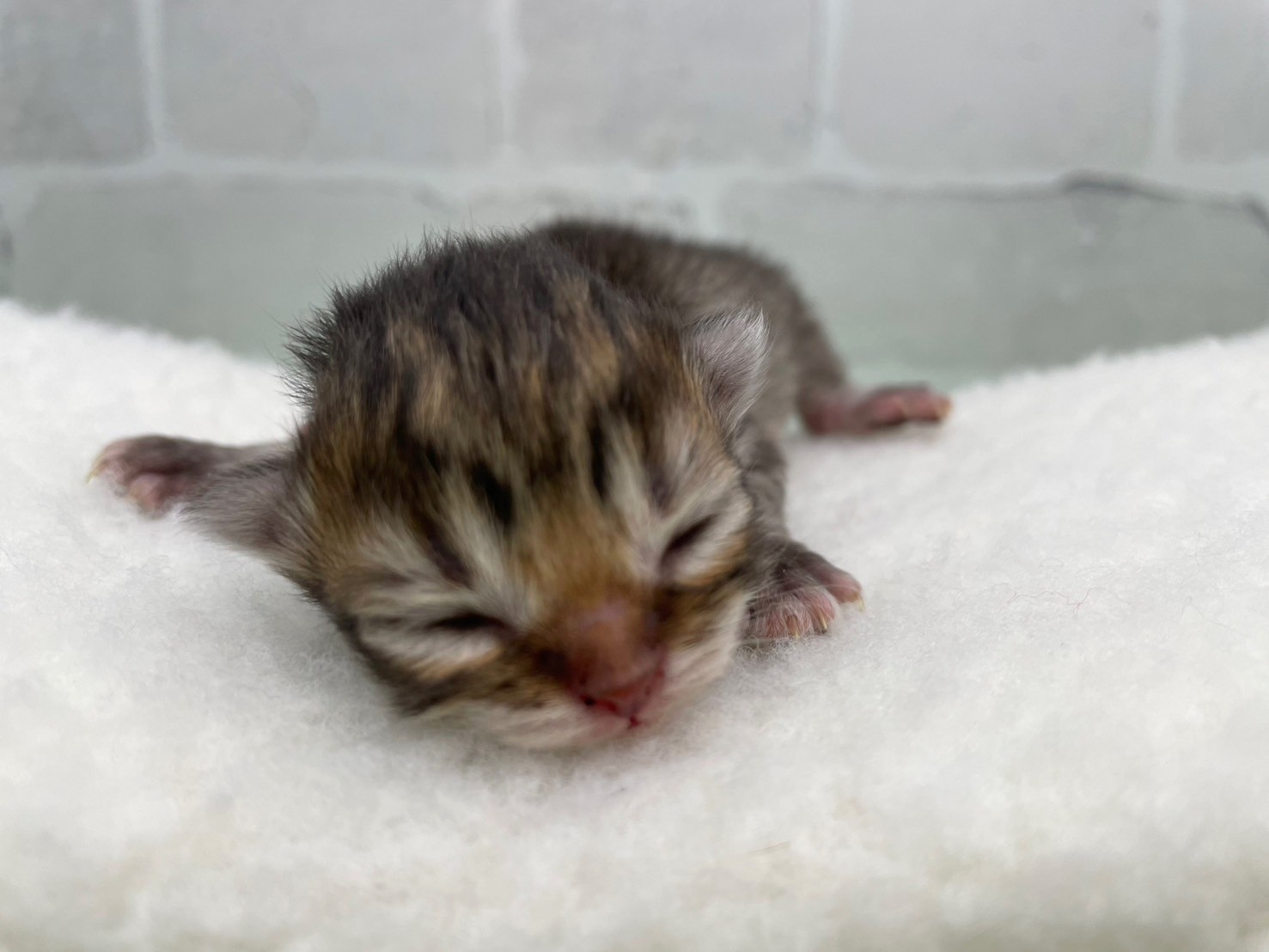 赤ちゃん写真1-1