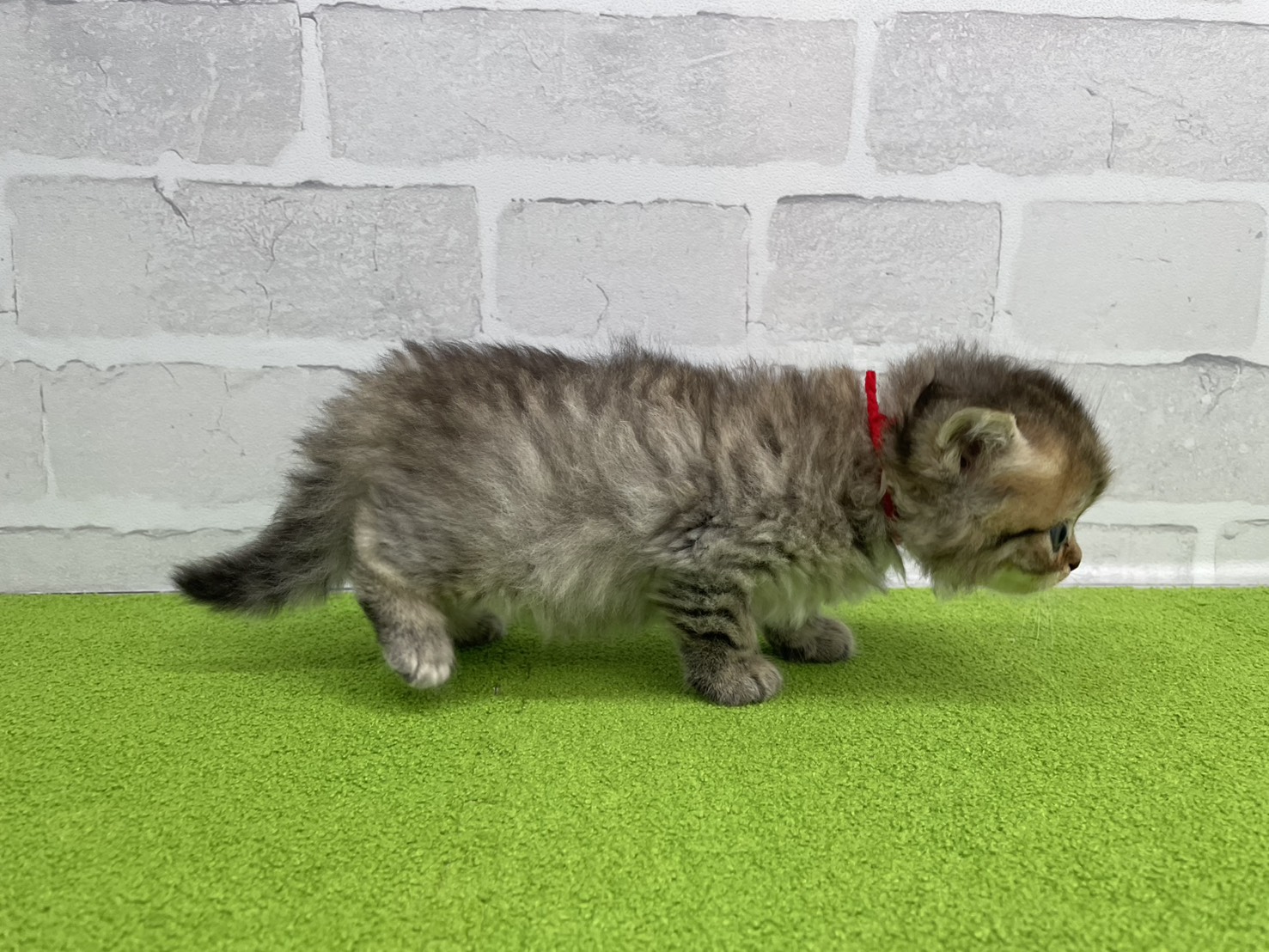 赤ちゃん写真2-2