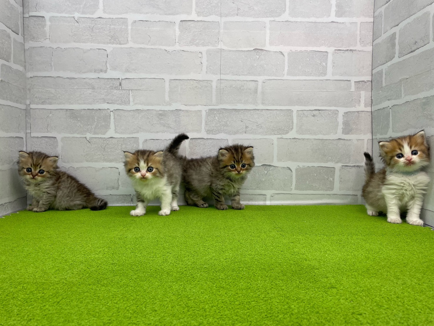 赤ちゃん写真2-3