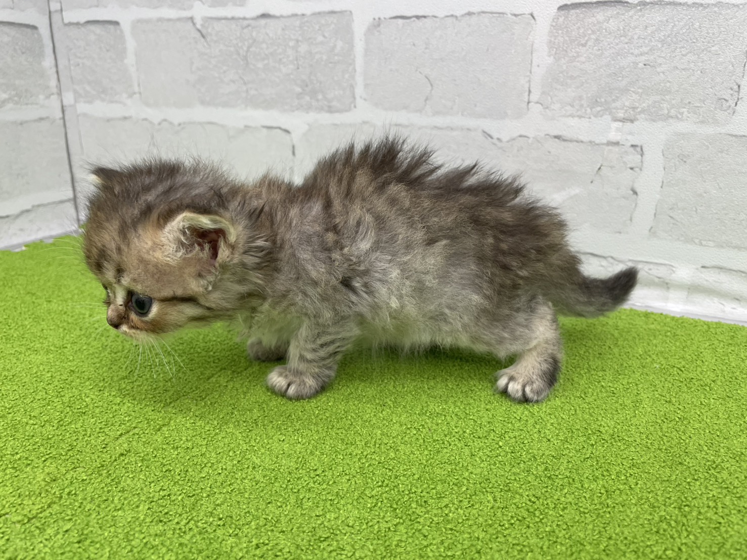 赤ちゃん写真2-2