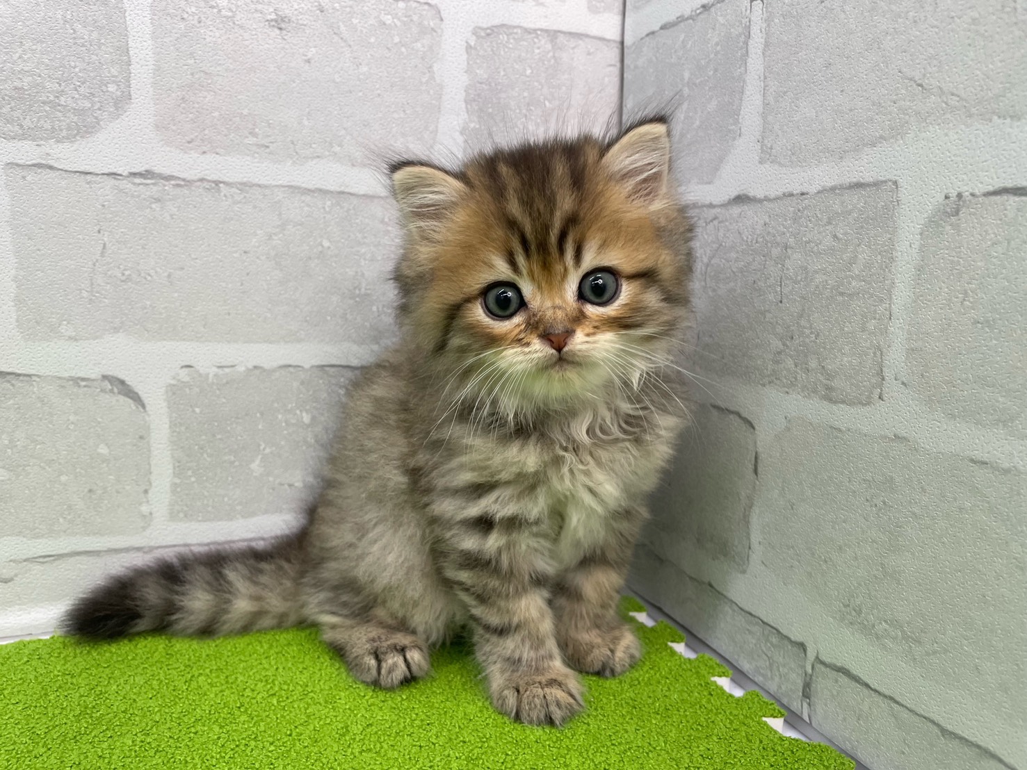 赤ちゃん写真3-1