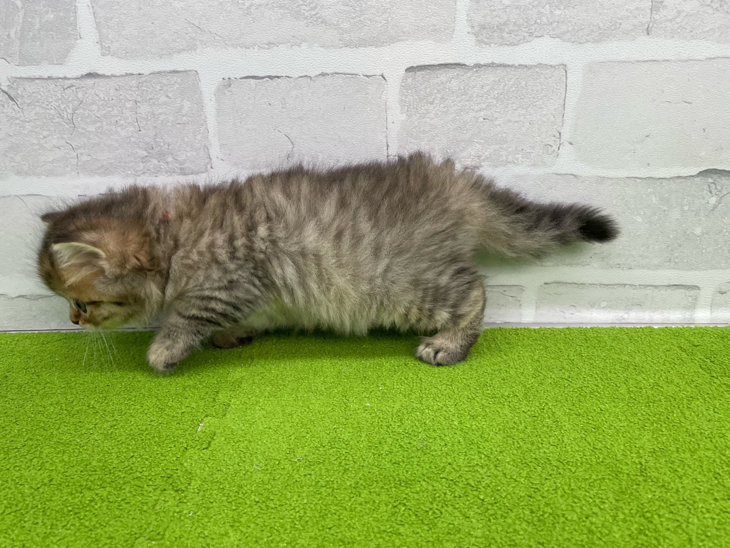 赤ちゃん写真3-2