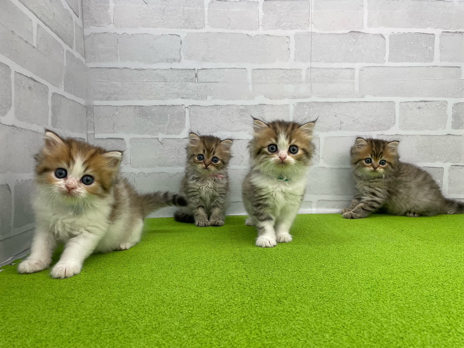 赤ちゃん写真3-3