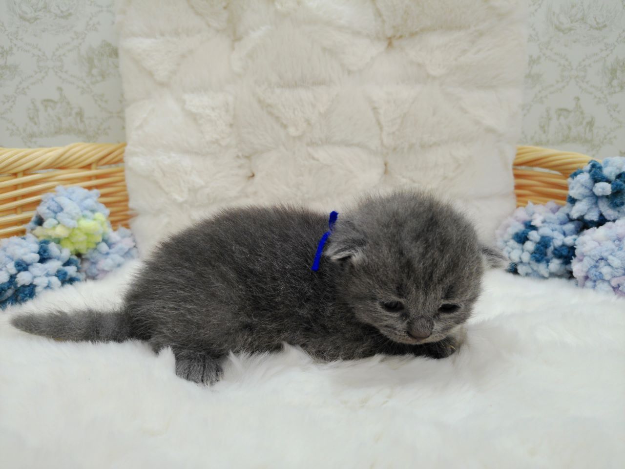 赤ちゃん写真1-2