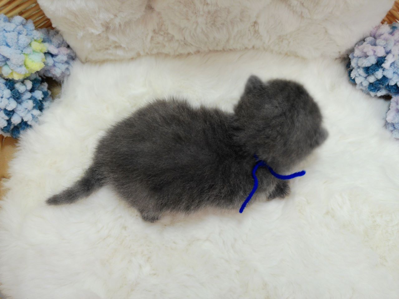 赤ちゃん写真1-3