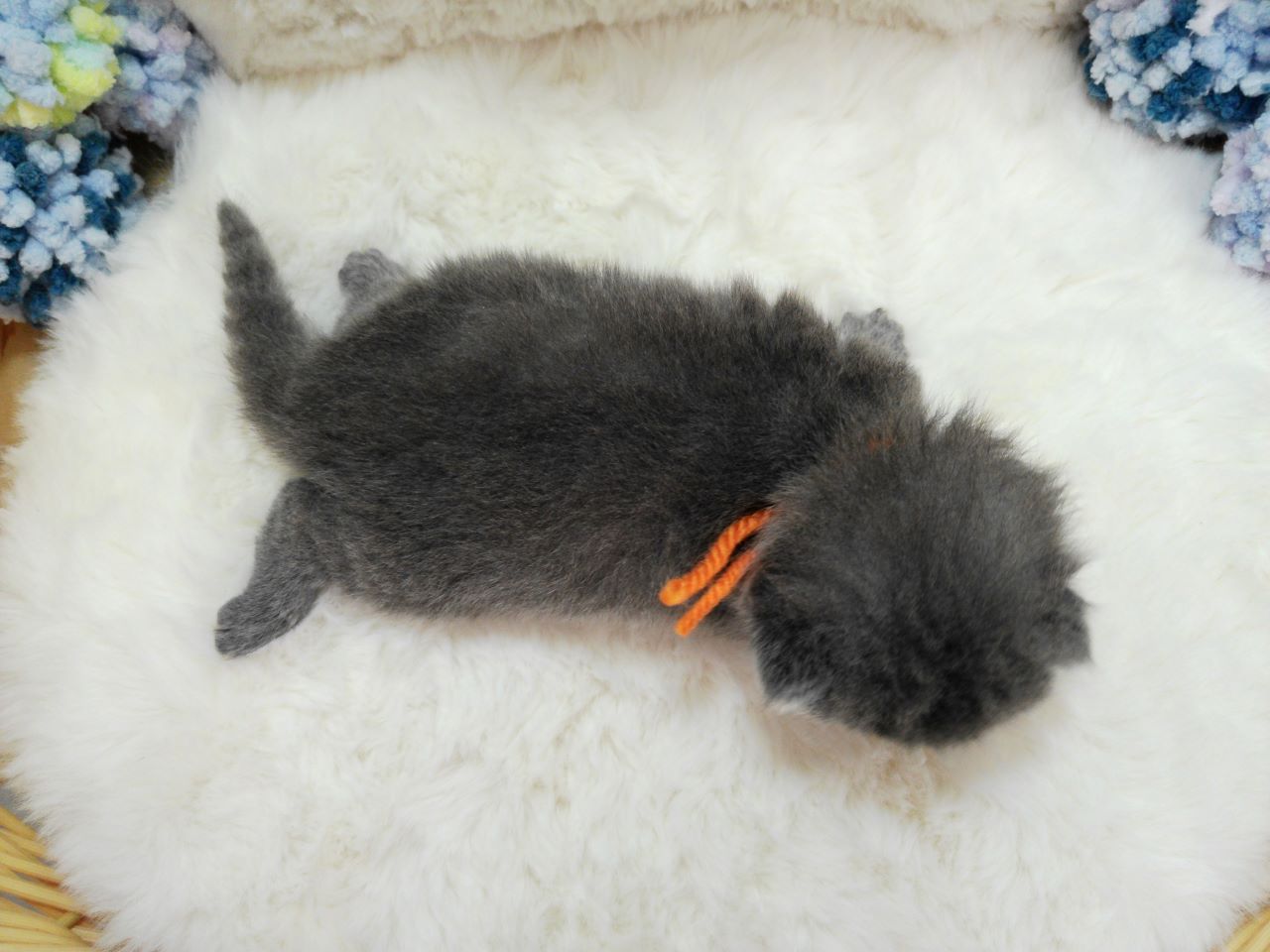 赤ちゃん写真1-3