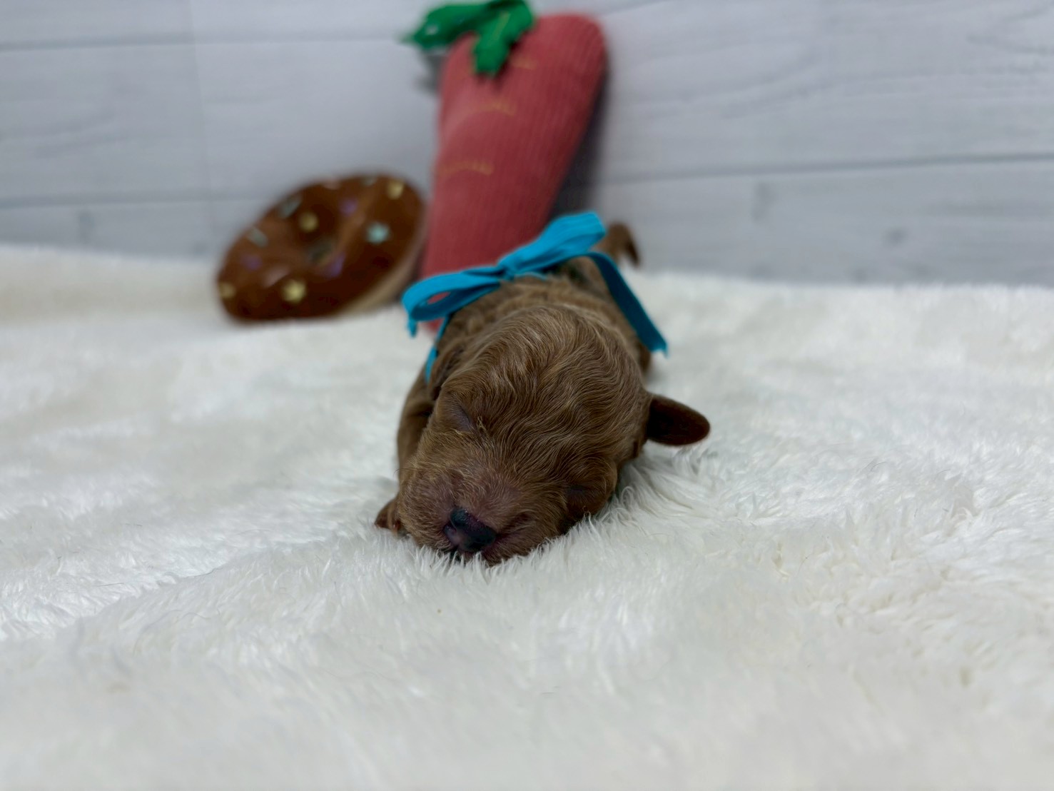 赤ちゃん写真1-1