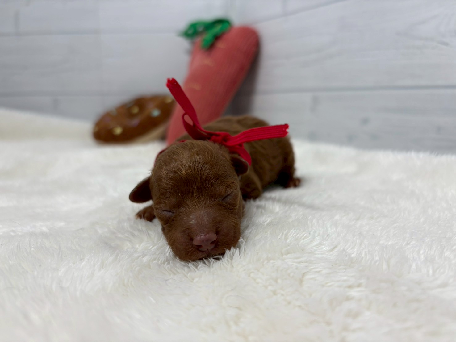 赤ちゃん写真1-1