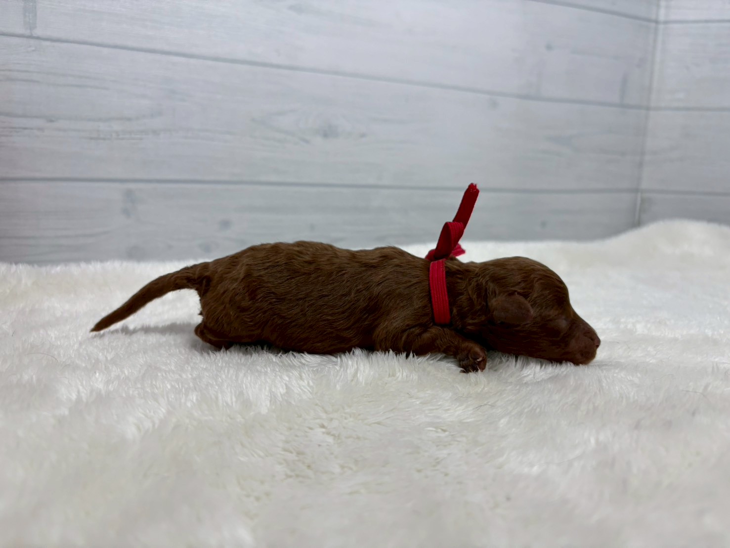 赤ちゃん写真1-2