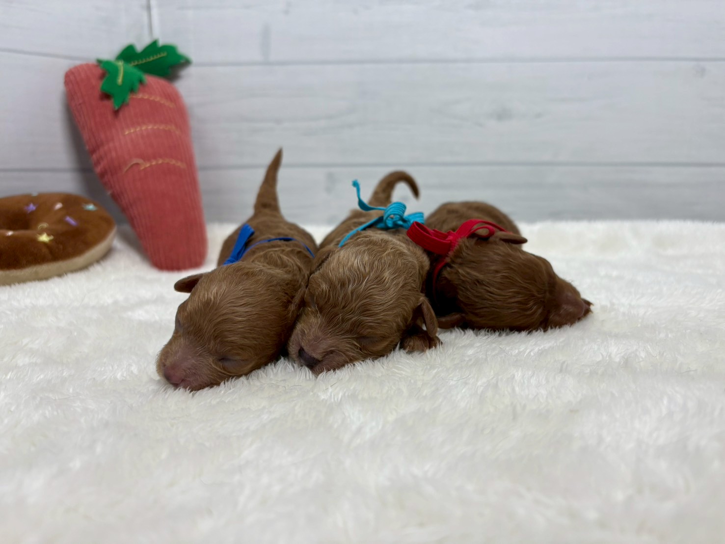 赤ちゃん写真1-3