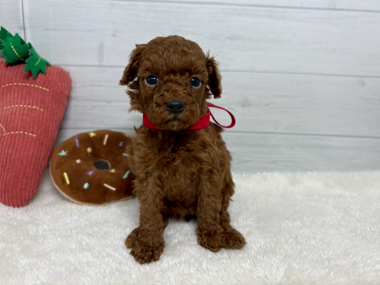 赤ちゃん写真2-1