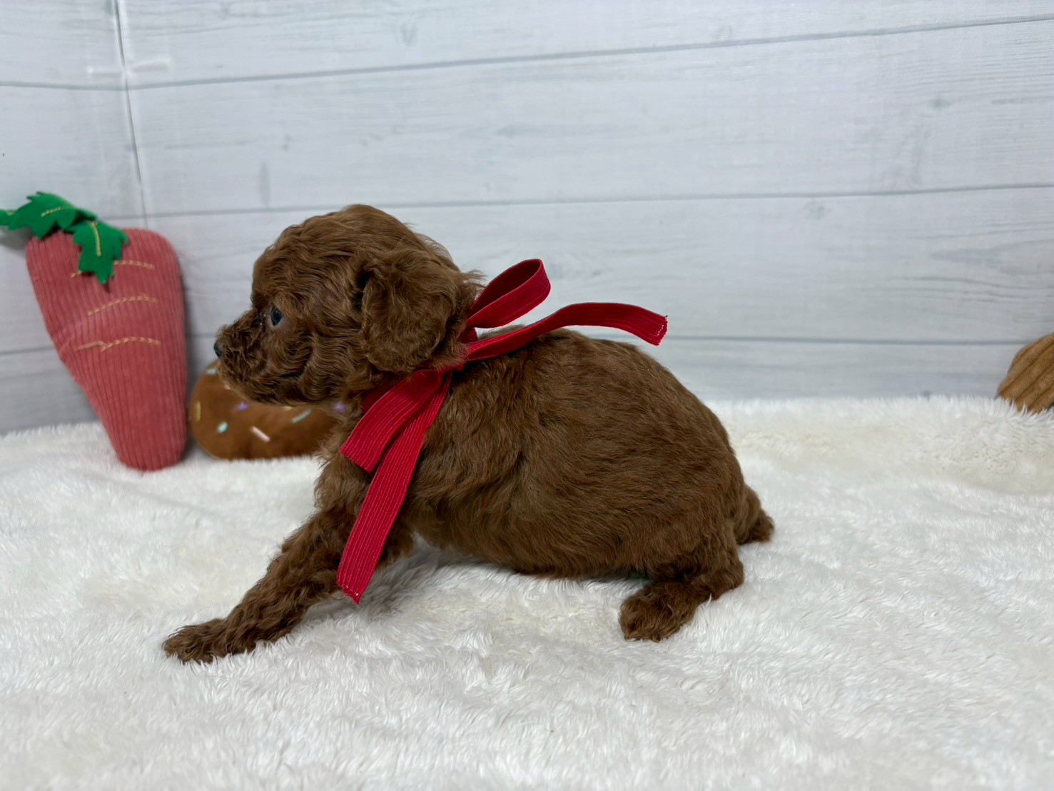 赤ちゃん写真2-2