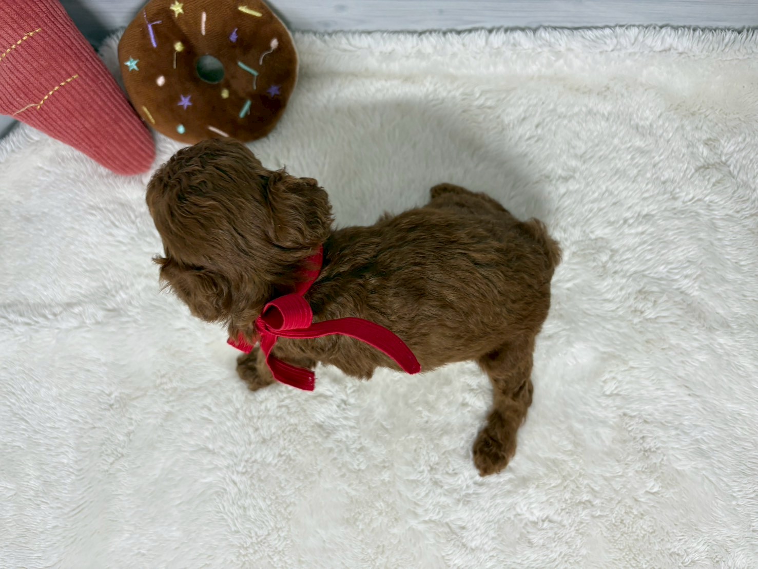 赤ちゃん写真2-3