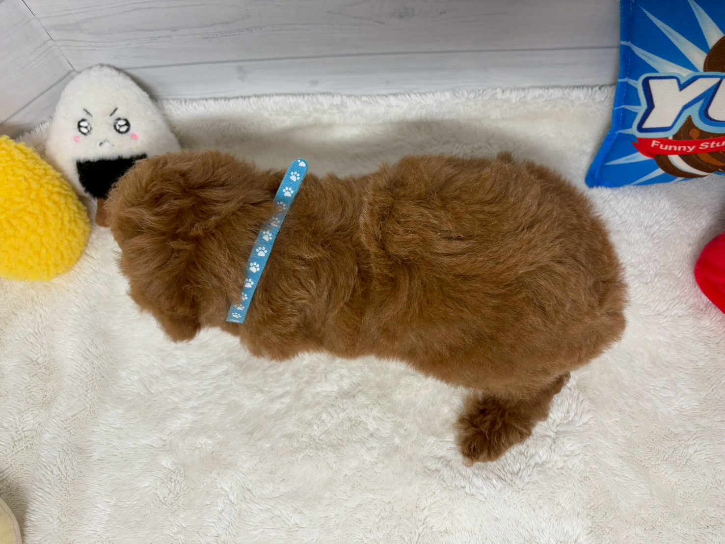 赤ちゃん写真3-3