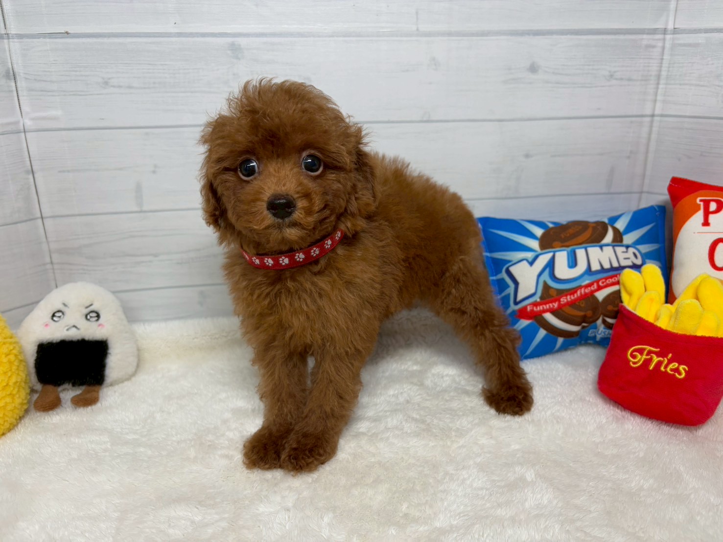 赤ちゃん写真3-1