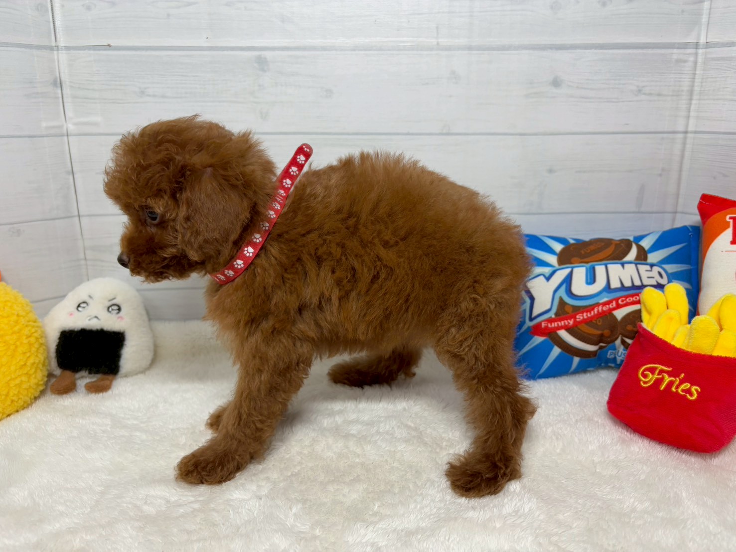 赤ちゃん写真3-2