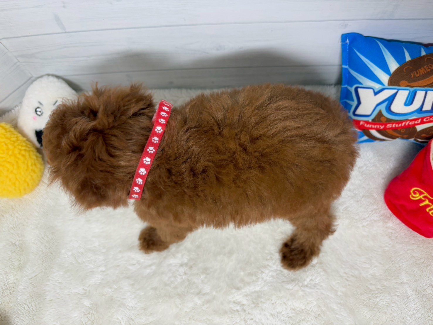 赤ちゃん写真3-3