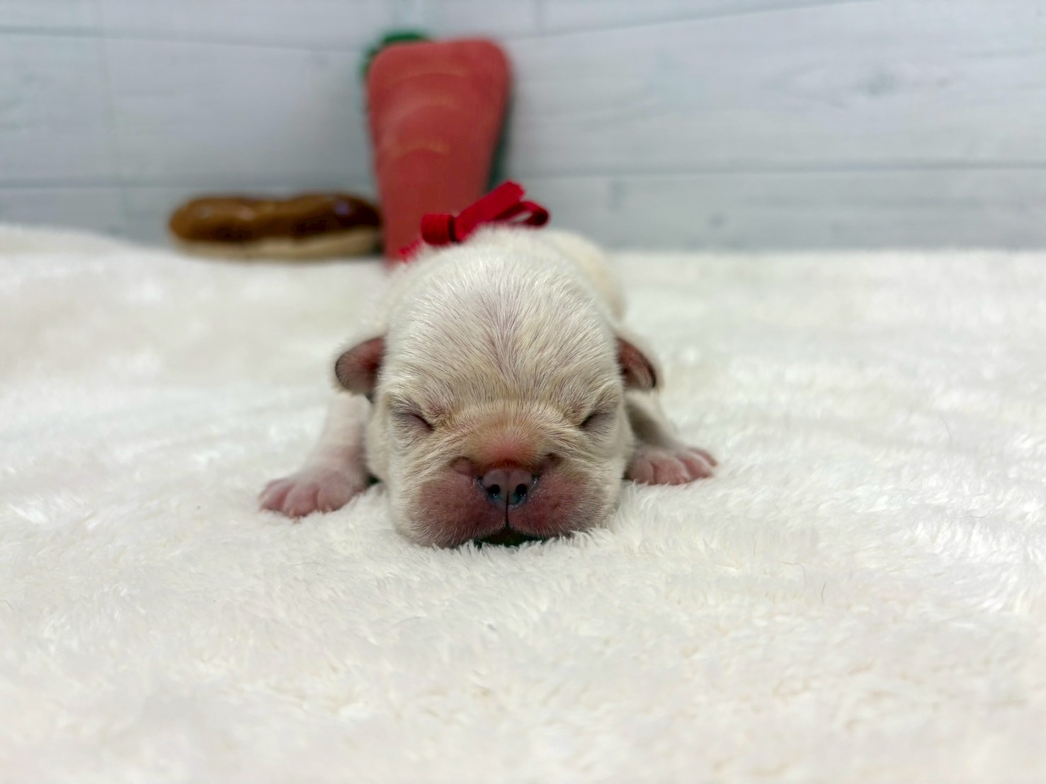 赤ちゃん写真1-1