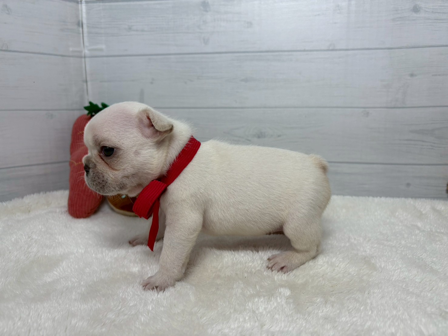 赤ちゃん写真2-2