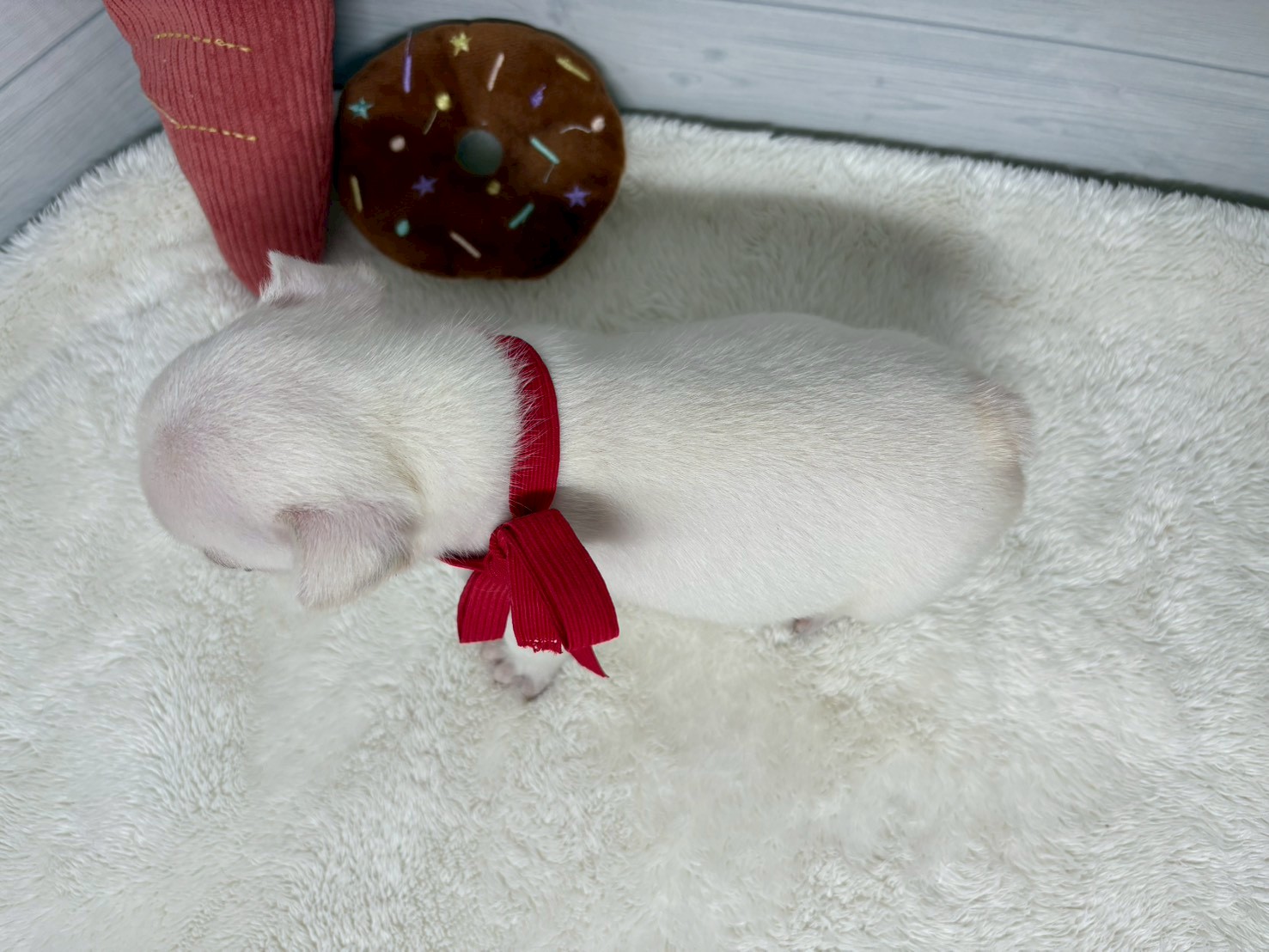 赤ちゃん写真2-3