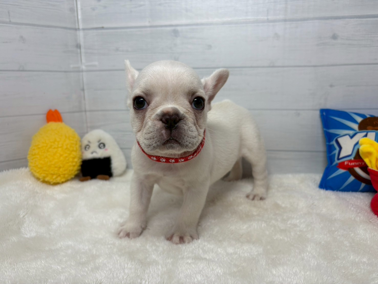 赤ちゃん写真3-1