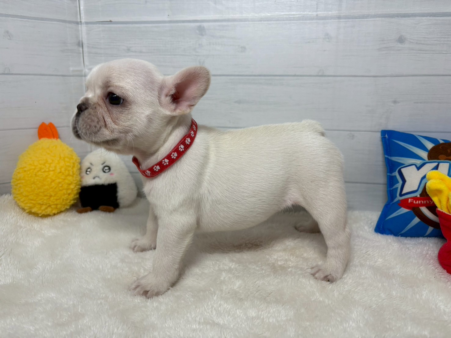 赤ちゃん写真3-2