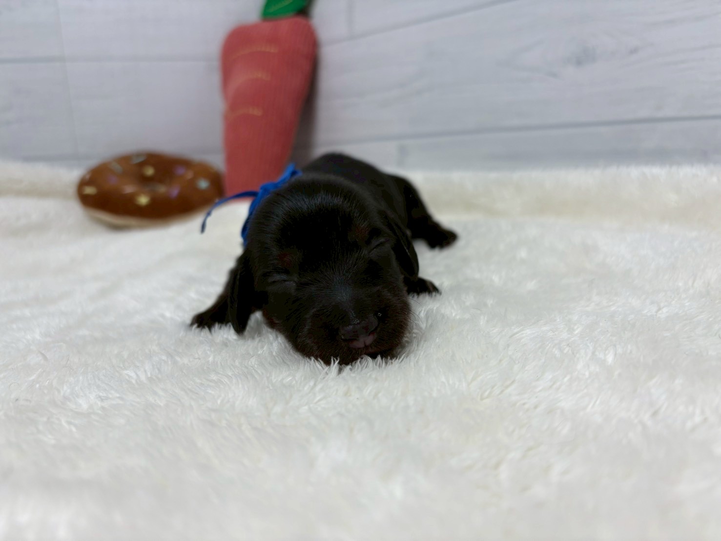 赤ちゃん写真1-1