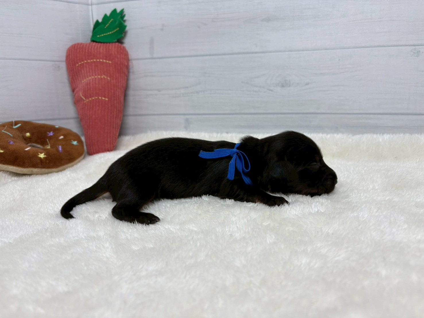 赤ちゃん写真1-2