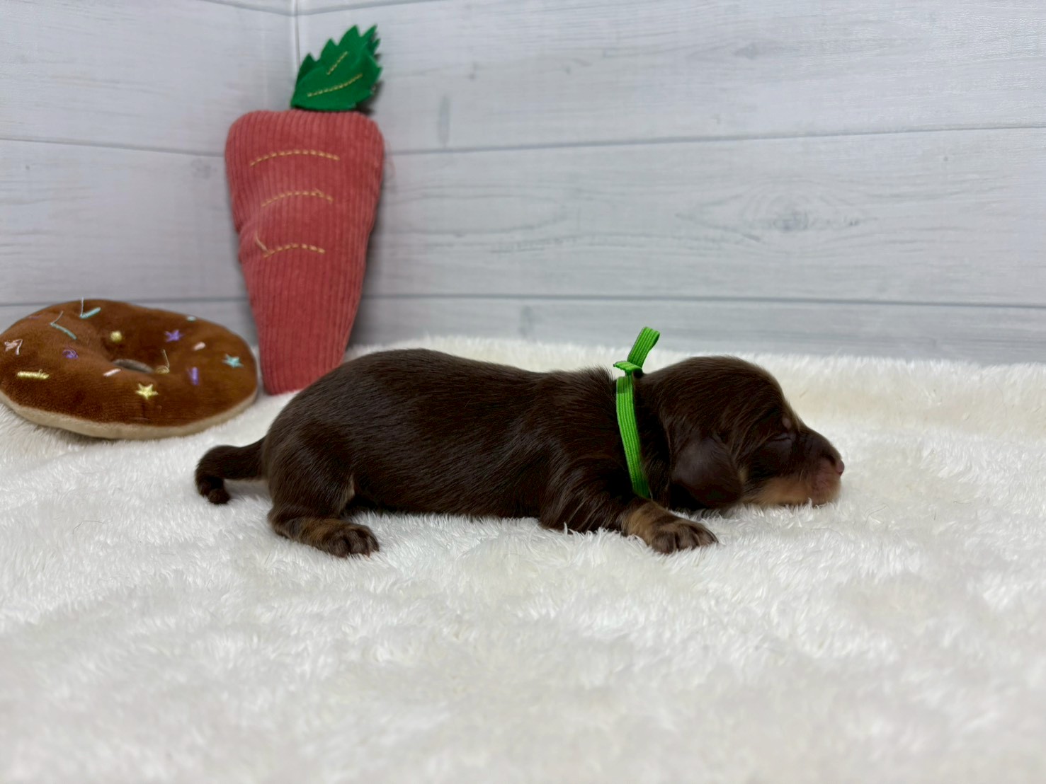 赤ちゃん写真1-2