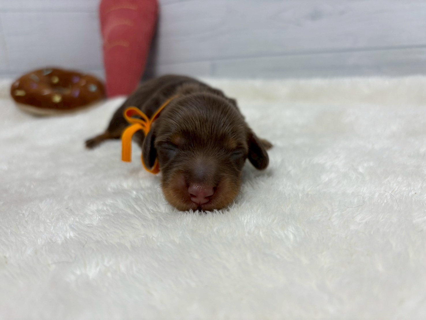 赤ちゃん写真1-1