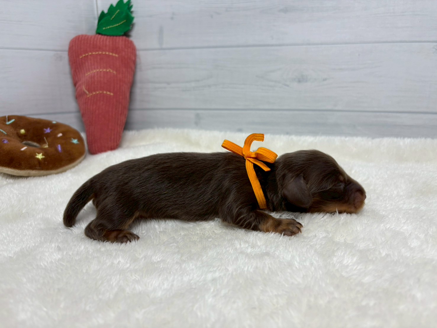 赤ちゃん写真1-2