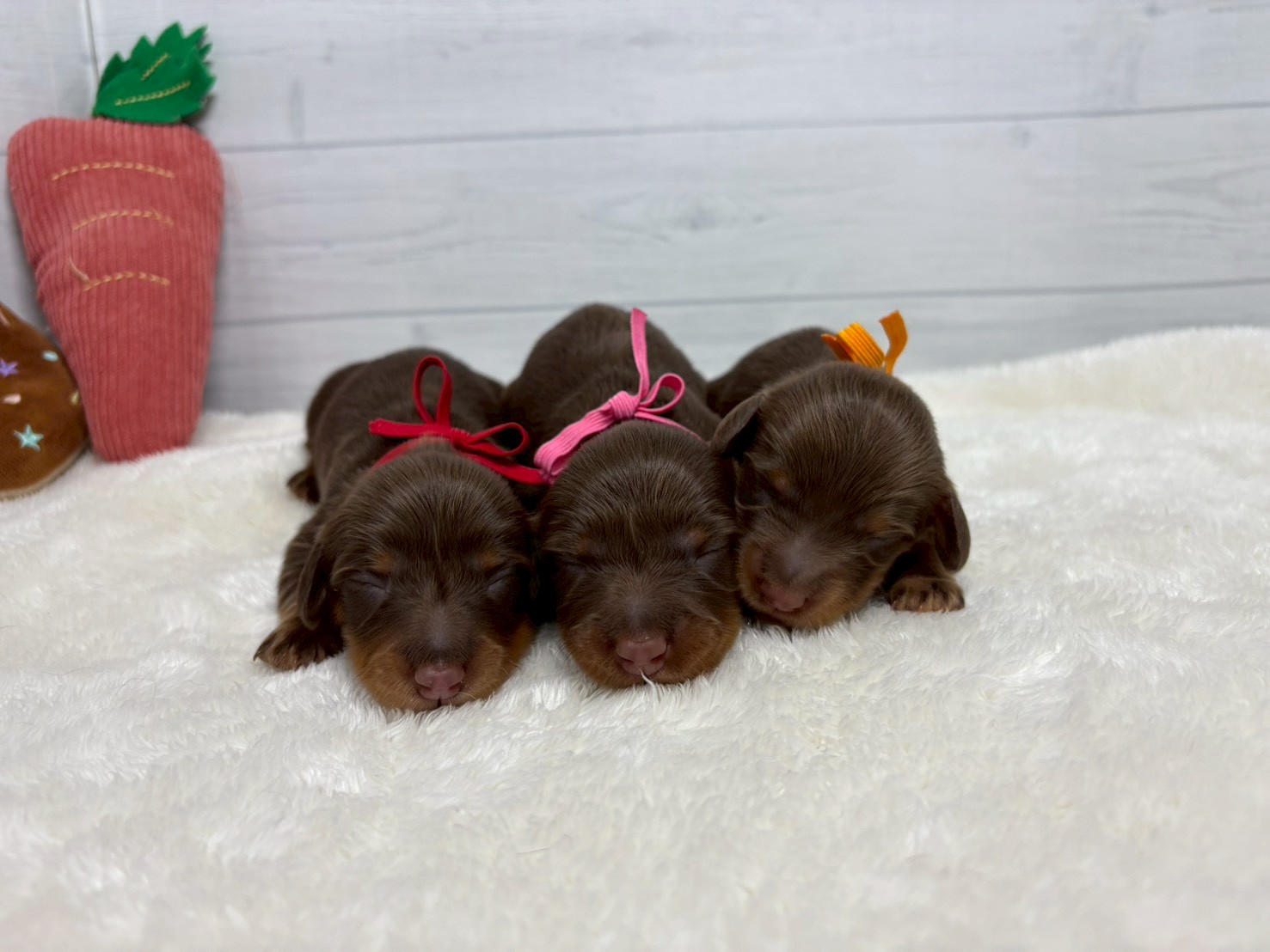 赤ちゃん写真1-3