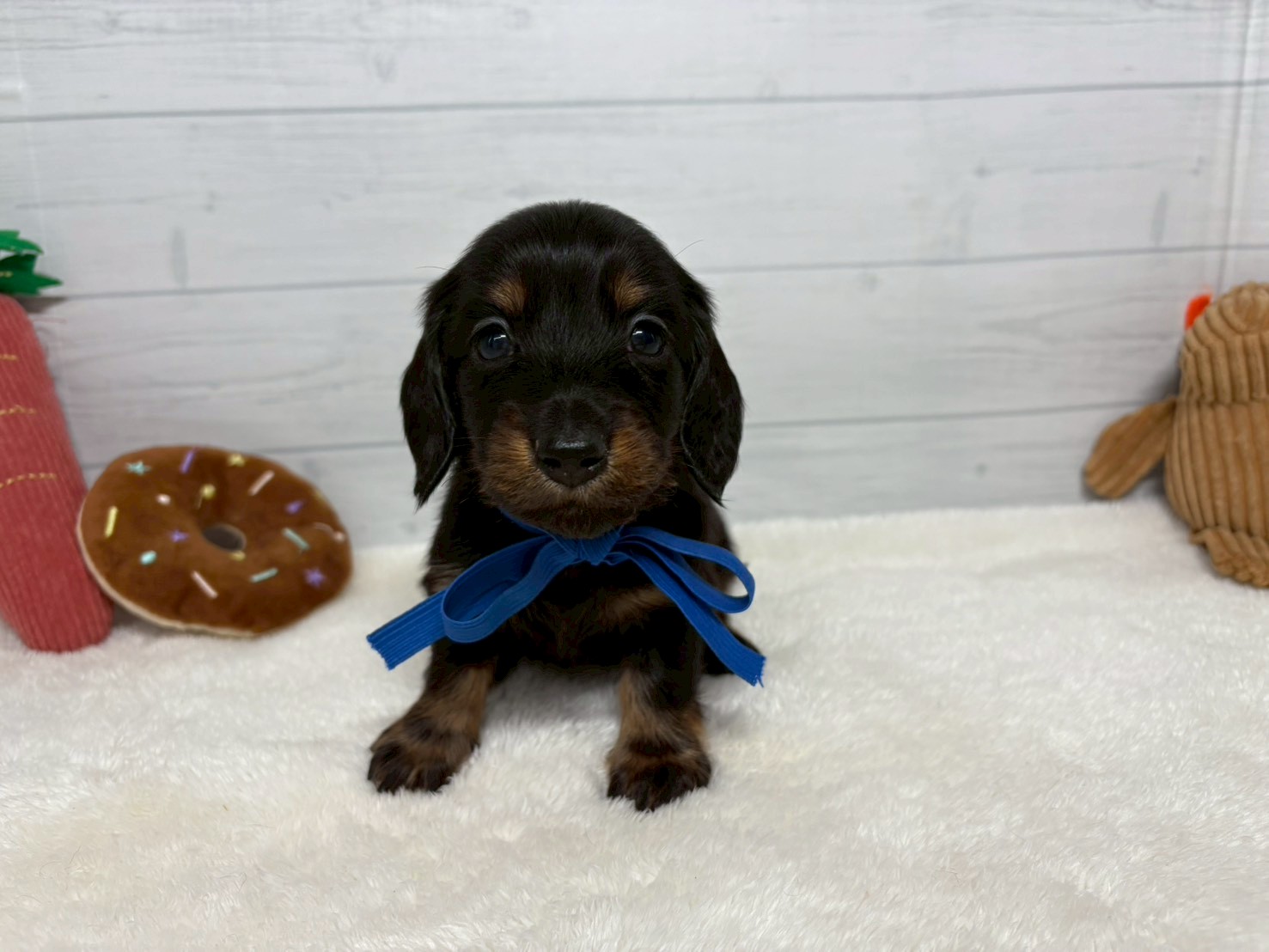 赤ちゃん写真2-1