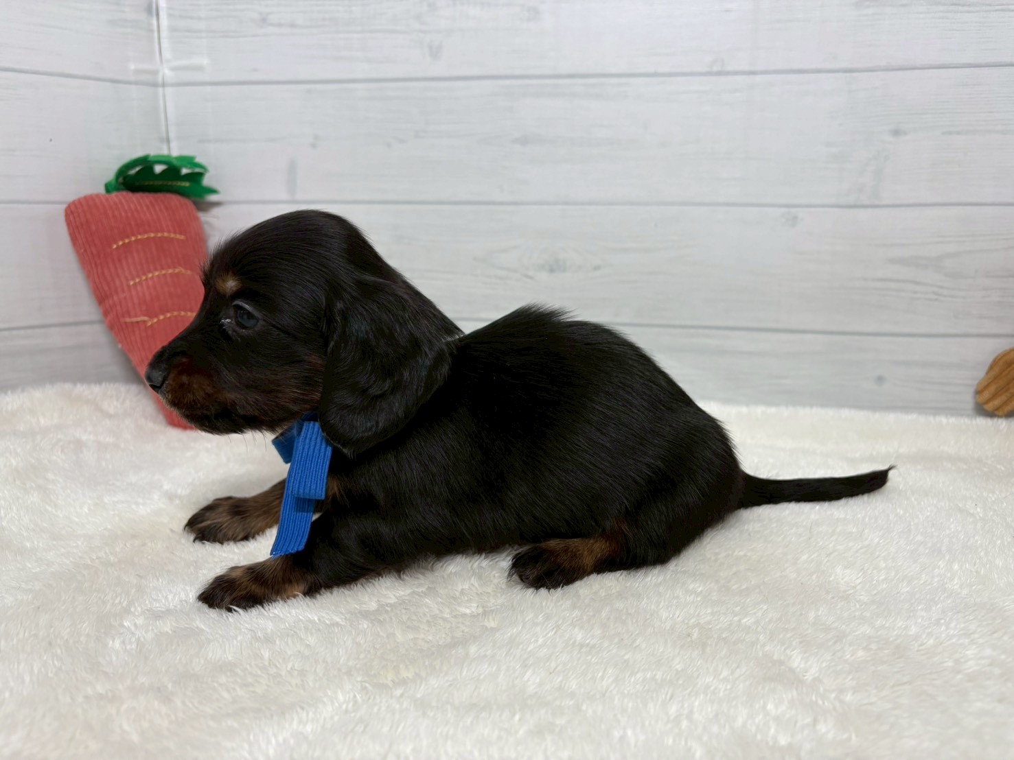 赤ちゃん写真2-2