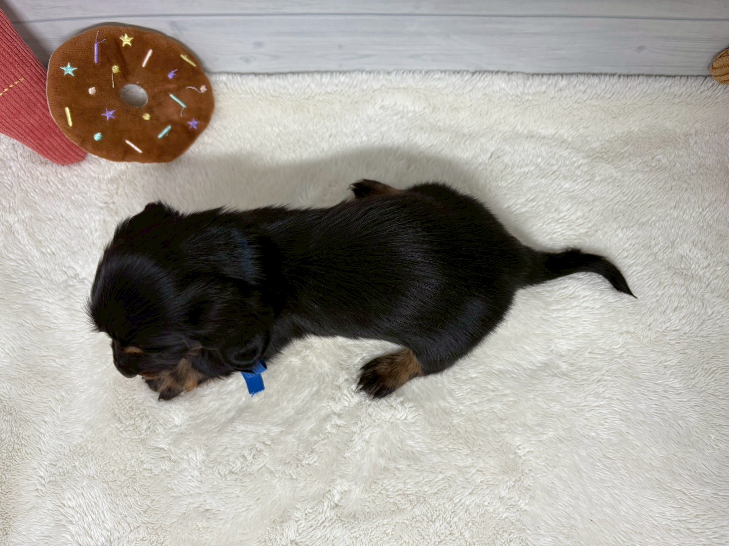 赤ちゃん写真2-3