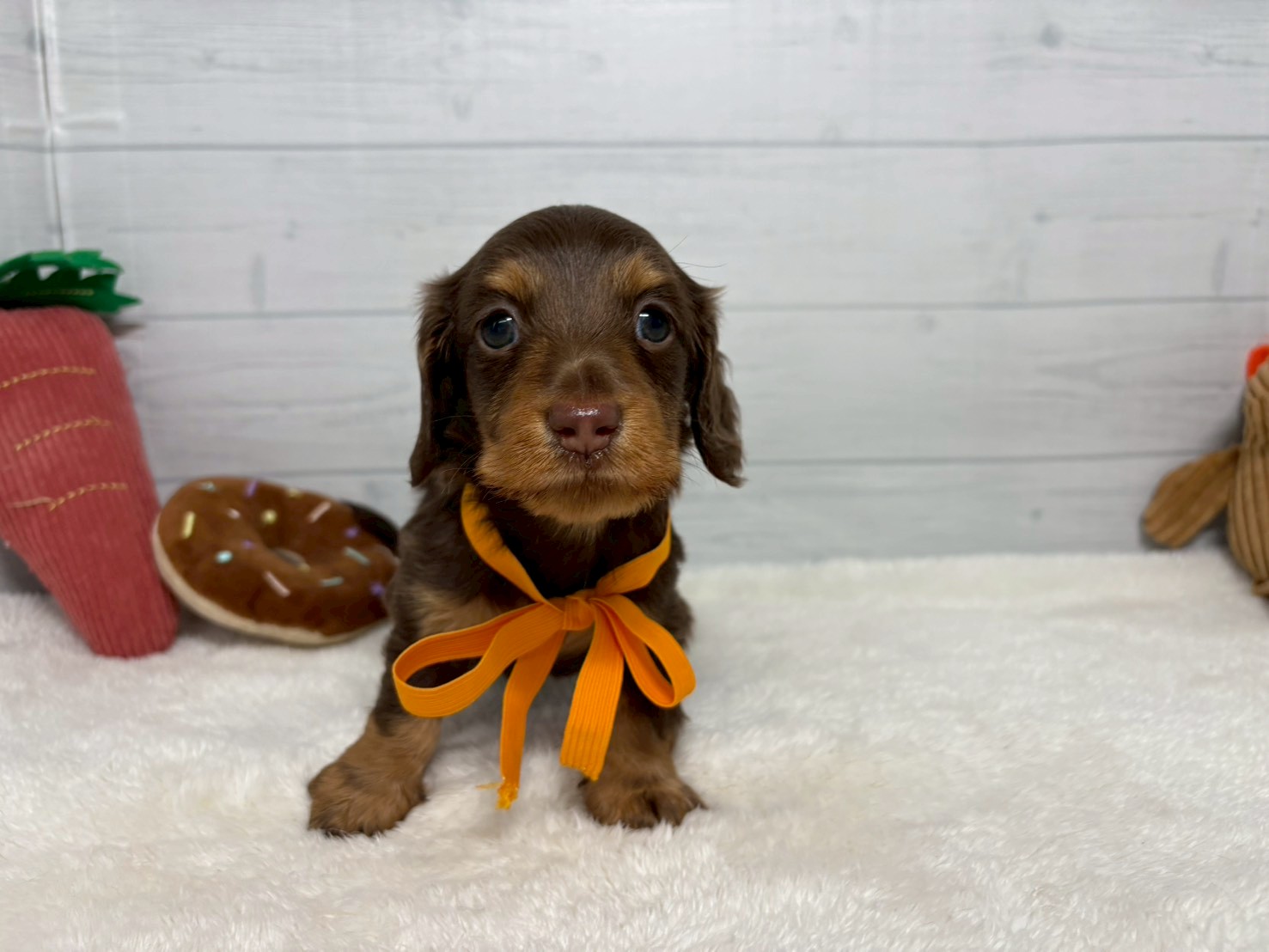 赤ちゃん写真2-1