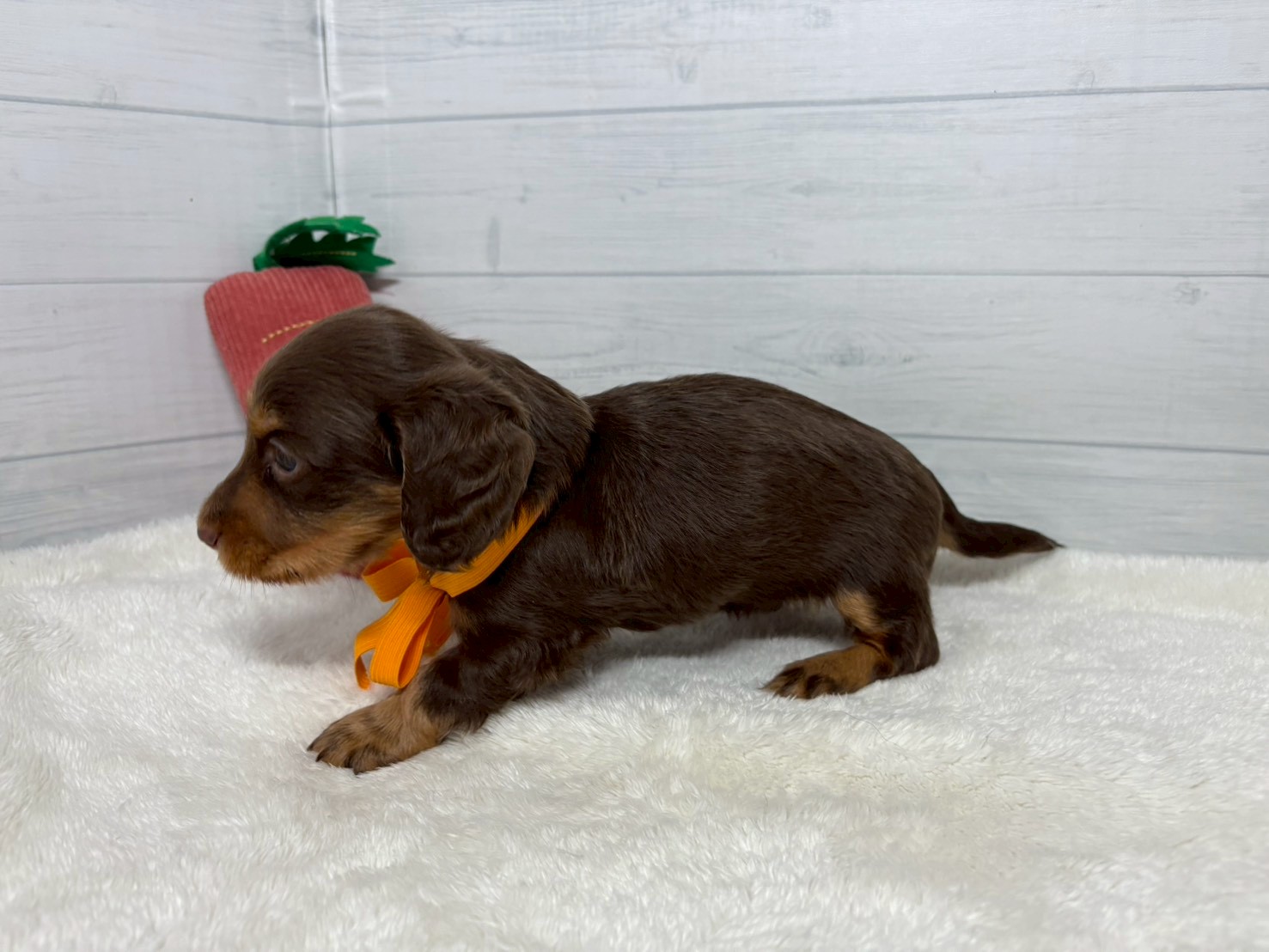 赤ちゃん写真2-2