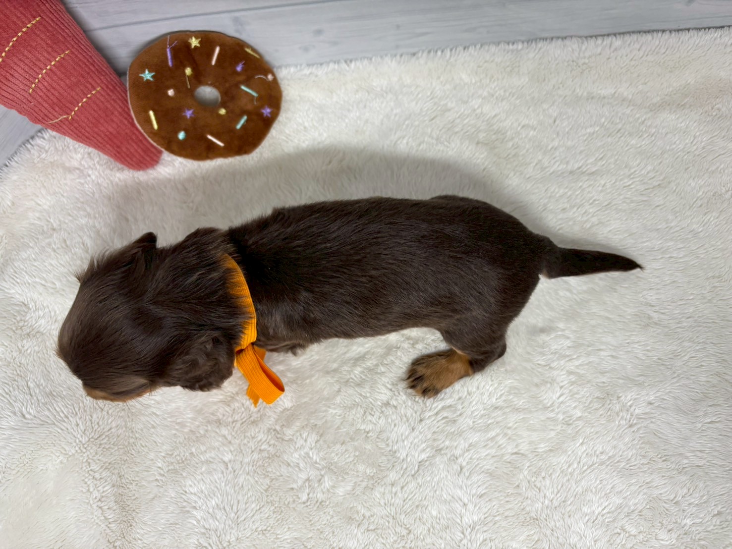 赤ちゃん写真2-3