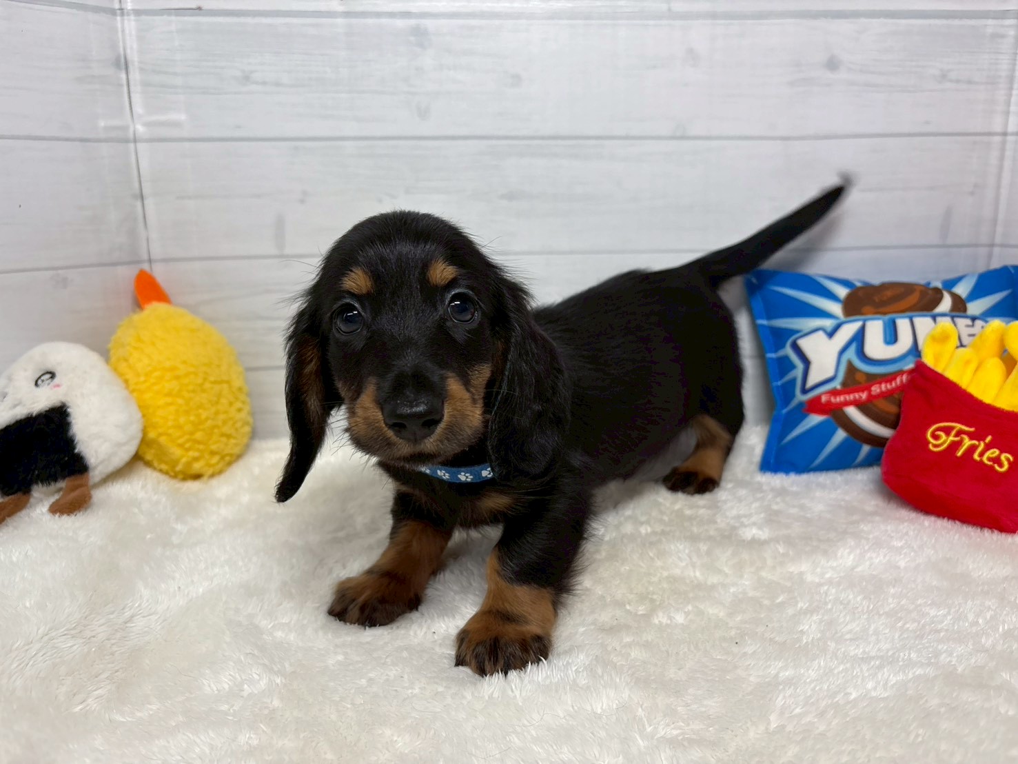 赤ちゃん写真3-1