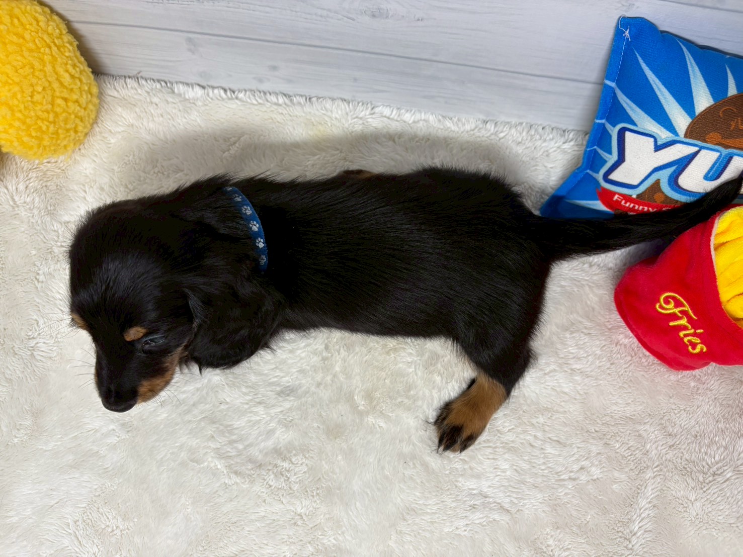 赤ちゃん写真3-3